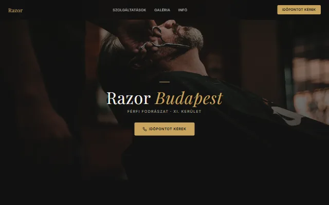 Borbély weboldal minta